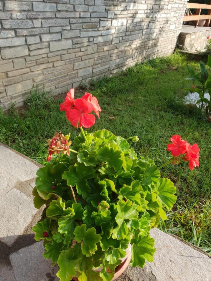 Eleftheroupoli Mavridis House 빌라 외부 사진